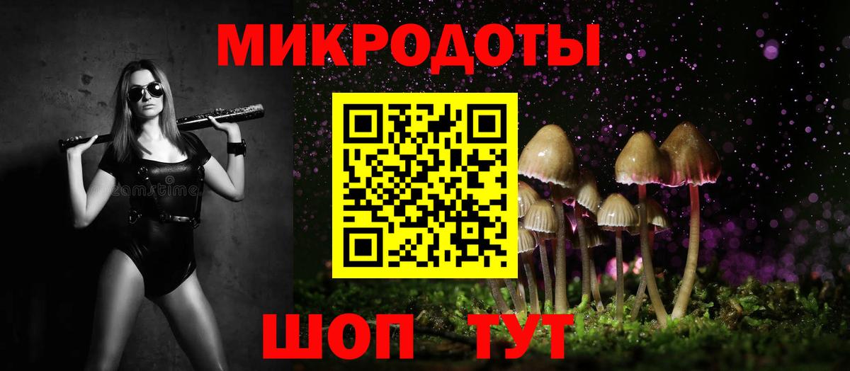 Псилоцибиновые грибы Советский