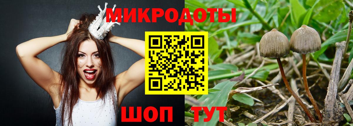 Галлюциногенные грибы мухоморы Советский
